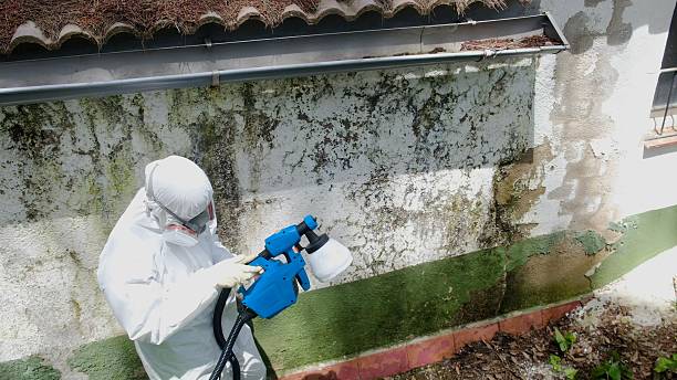 Trusted Mold Testing service in Tyrone, PA - Cheap Mold Removal